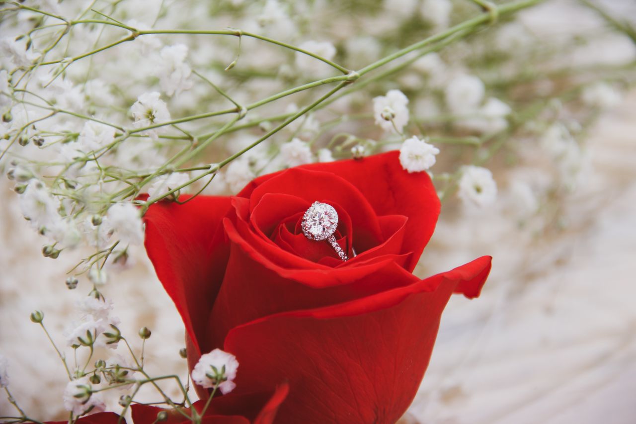 A diamond engagement ring sitting on top of a rose A diamond engagement ring sitting on top of a rose